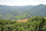 stromy pred štartovačkou